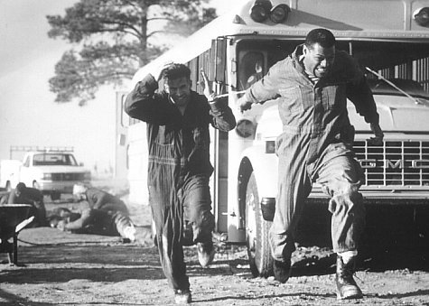 Stephen Baldwin photo