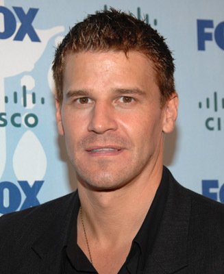 David Boreanaz photo