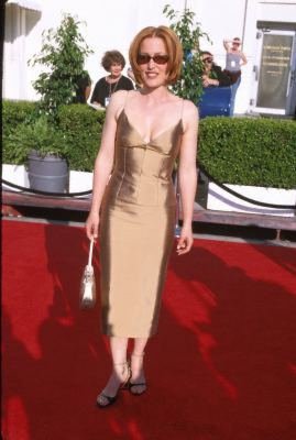 Gillian Anderson photo