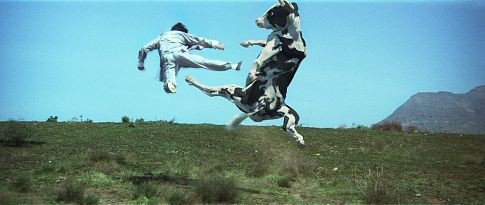 Steve Oedekerk photo