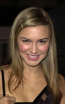 Samaire Armstrong photo