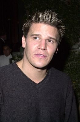 David Boreanaz photo