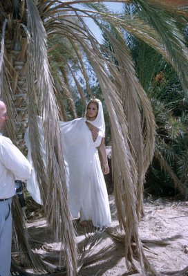 Ursula Andress photo