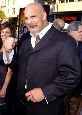 Bill Goldberg photo