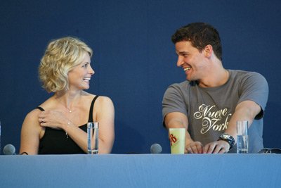 David Boreanaz photo