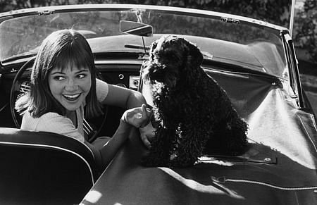 Sally Field photo