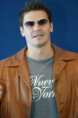 David Boreanaz photo