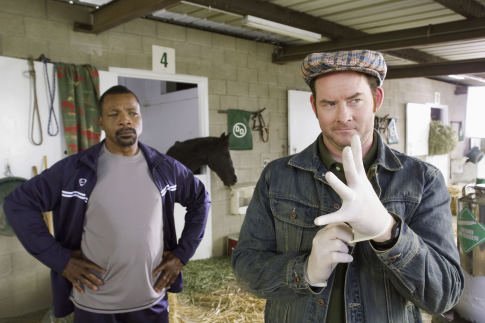 David Koechner photo