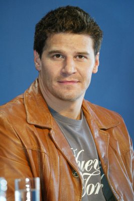 David Boreanaz photo
