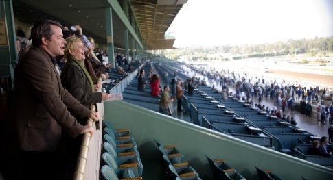 Matthew Broderick photo