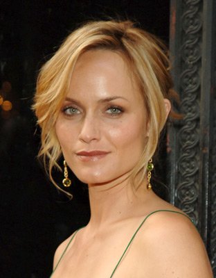 Amber Valletta photo