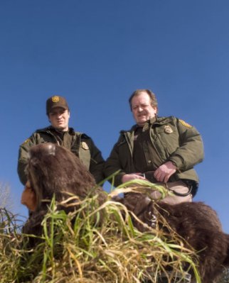 Nathan Fillion photo