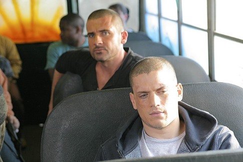 Dominic Purcell photo