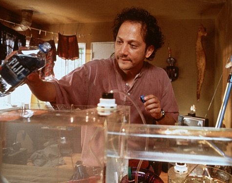 Rob Schneider photo