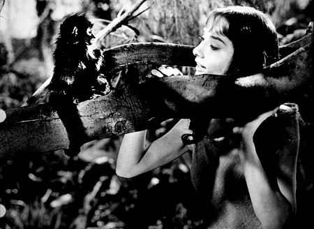 Audrey Hepburn photo