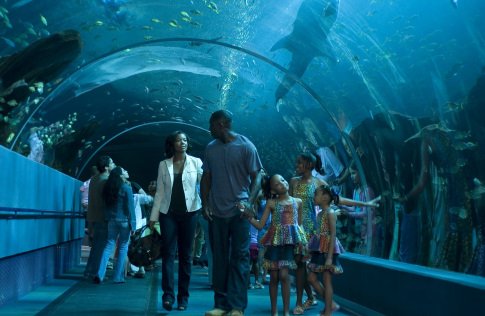 Gabrielle Union photo