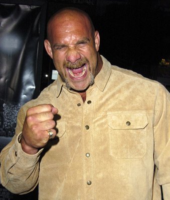 Bill Goldberg photo