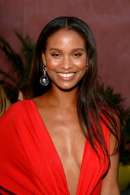 Joy Bryant photo