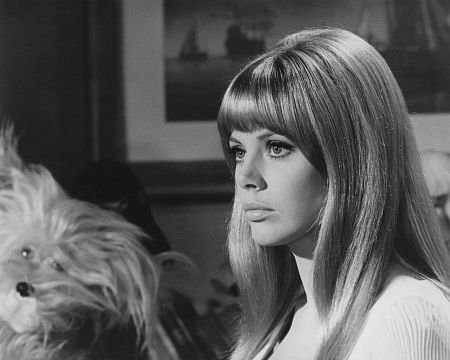 Britt Ekland photo