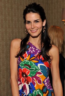 Angie Harmon photo