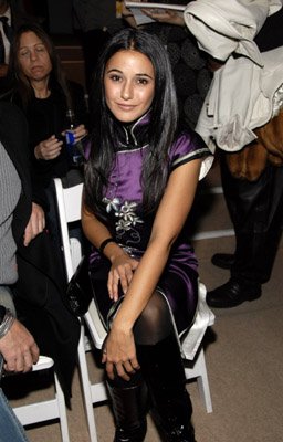 Emmanuelle Chriqui photo
