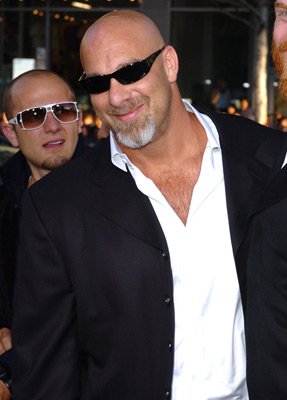 Bill Goldberg photo