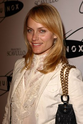 Amber Valletta photo