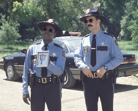 Diedrich Bader photo