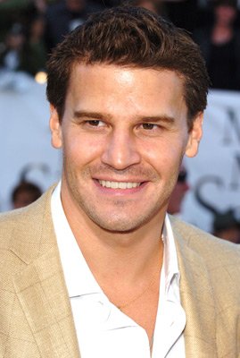 David Boreanaz photo