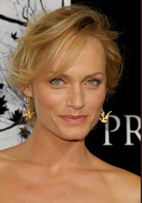 Amber Valletta photo
