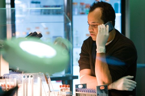 Jeffrey Wright photo