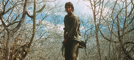 Rodrigo Santoro photo