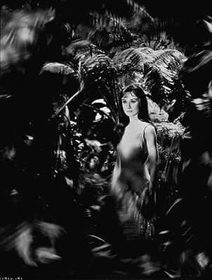 Audrey Hepburn photo