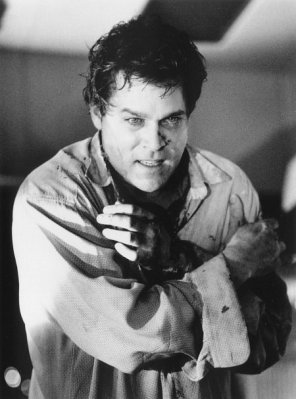 Ray Liotta photo