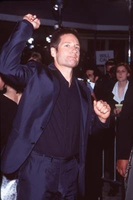 David Duchovny photo