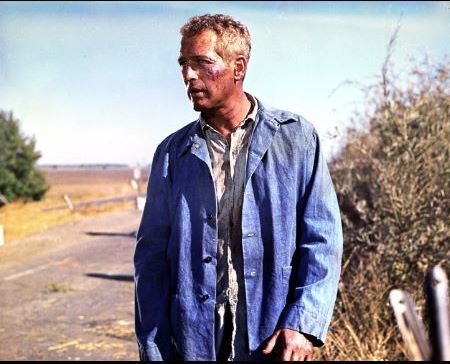 Cool Hand Luke photo