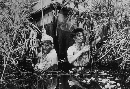 The African Queen photo