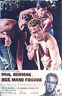 Cool Hand Luke photo