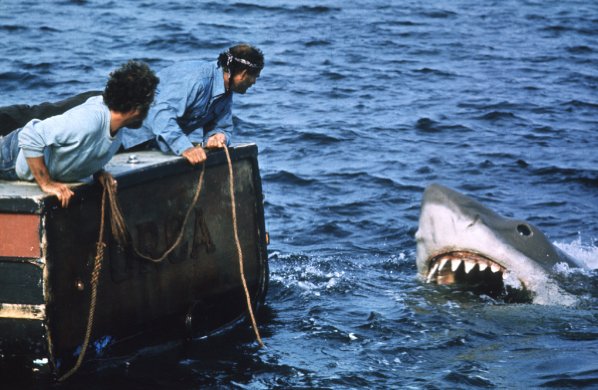 Jaws photo