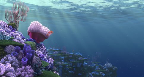 Finding Nemo photo