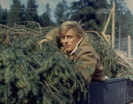 The Great Escape photo