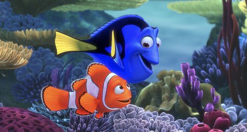 Finding Nemo photo