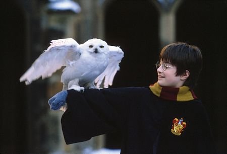Harry Potter and the Sorcerer's Stone photo