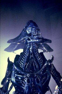 Aliens photo