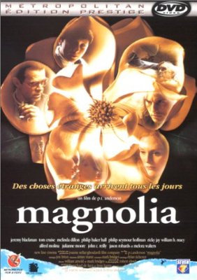 Magnolia photo