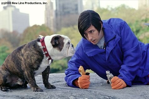 Little Nicky photo