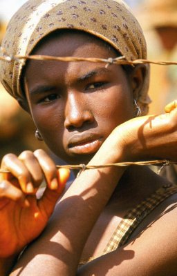 Tears of the Sun photo