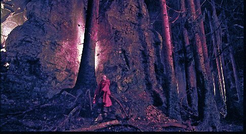 The Brothers Grimm photo