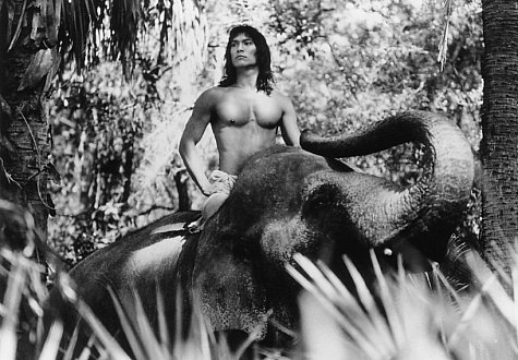 The Jungle Book photo
