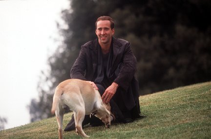 City of Angels photo